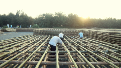 原住民禁伐條例實施後，竹林的老化與哀愁