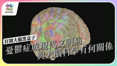 打開大腦黑盒子，腦部和精神疾病有何關係？