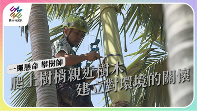 爬上樹梢、親近樹木，攀樹師如何建立民眾與環境的關係？