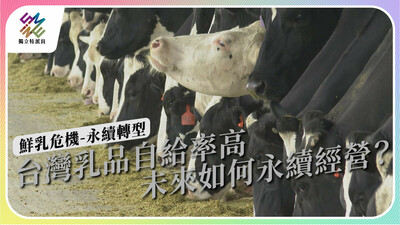 傳統酪農業易釀環境問題，如何走向永續轉型？