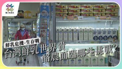 鮮乳售價高，農民卻喊賺不到？台灣酪農面臨多重挑戰