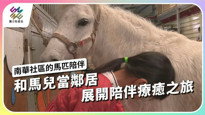 和馬兒當鄰居，展開陪伴療癒之旅