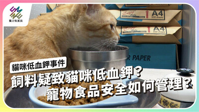 飼料疑致貓咪低血鉀？寵物食品安全如何管理？【獨立特派員】