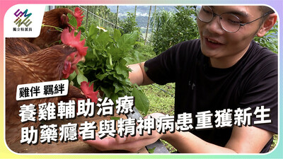 雞伴與羈絆 藥癮者與精神患者的養雞之路【獨立特派員】