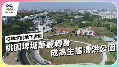 6部影片